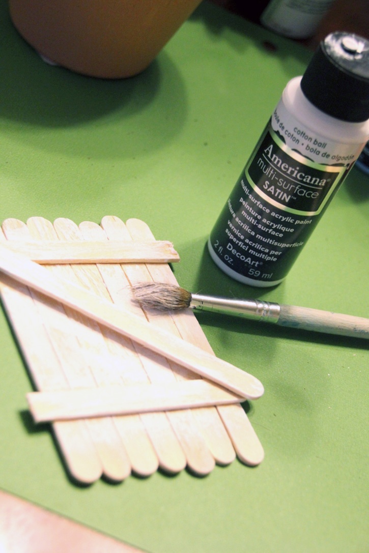 succulent-gift-idea-painting-popcicle-sticks.jpg