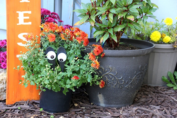 glue-dots-halloween-silly-plant-eyes-by-robyn-power.jpg