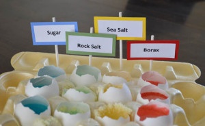 Geode Egg Display