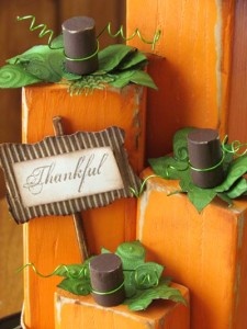 Harvest Pumpkins