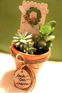 Succulent Garden