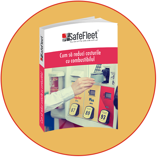 ebook-costuri-combustibil