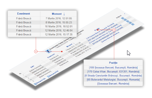 administrare si monitorizare flota auto,safefleet