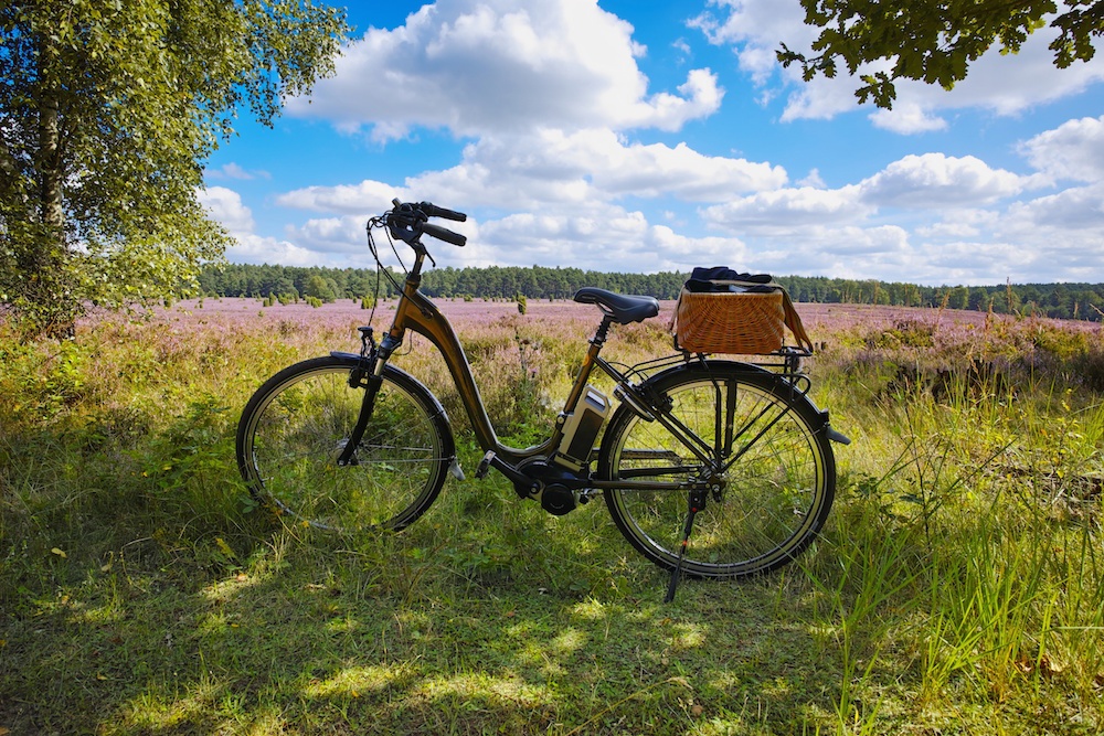 Lüneburger Heide Mit Fahrrad