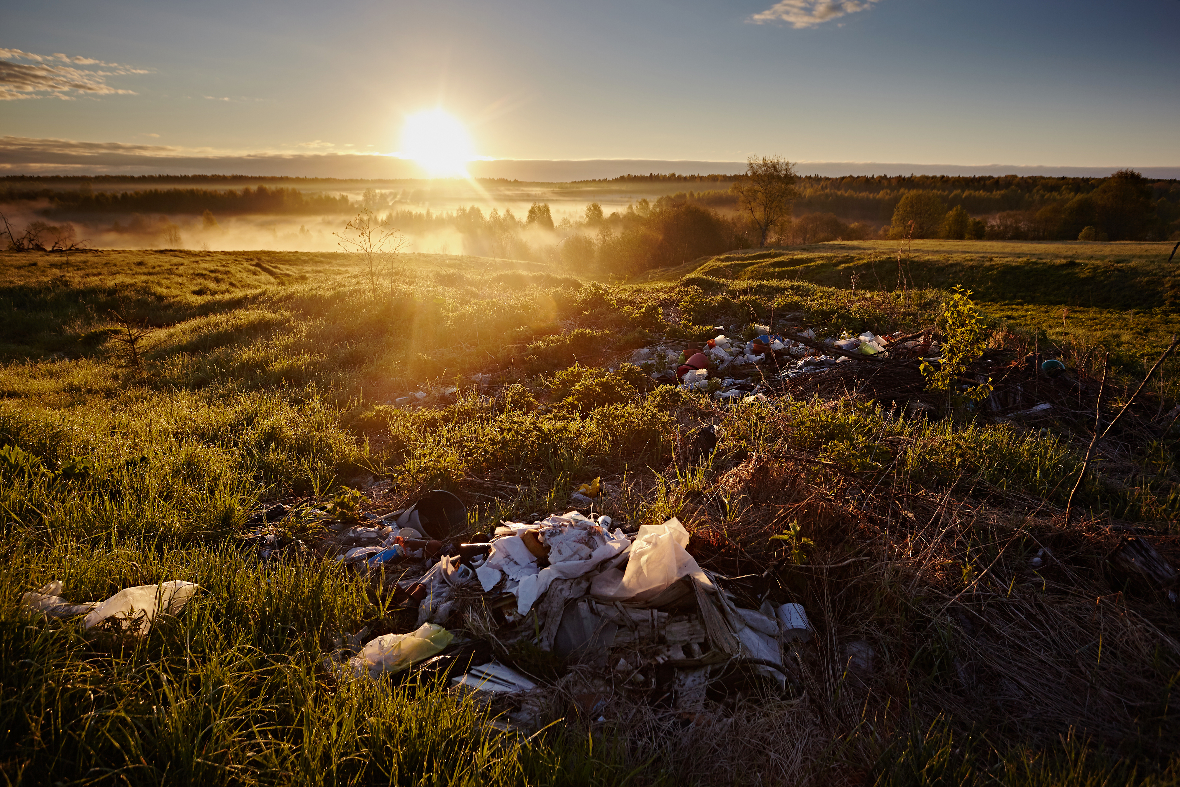 The Packaging Footprint of Alfresco Dining