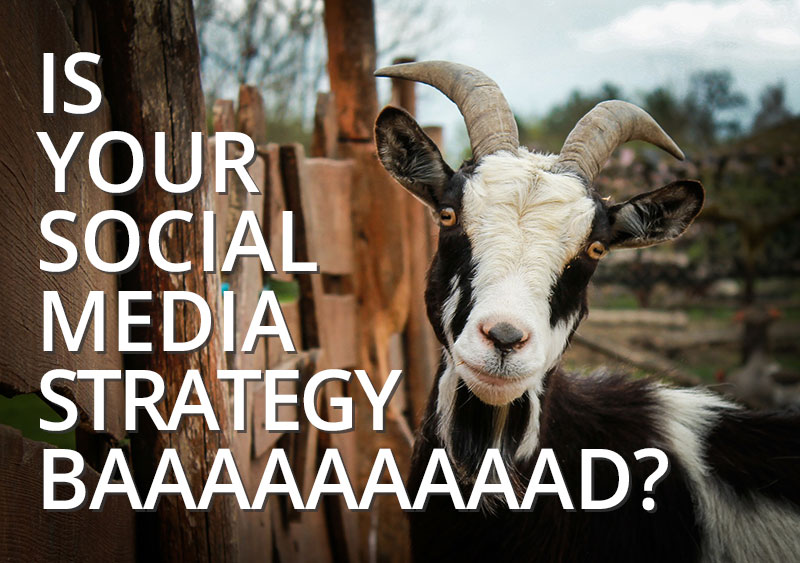 is your social media marketing strategy bad? Ashville, SC