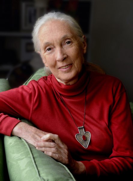 Jane Goodall: Continuing With an Interest For Over 50 Years