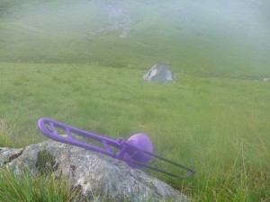 A purple pBone in the wild.