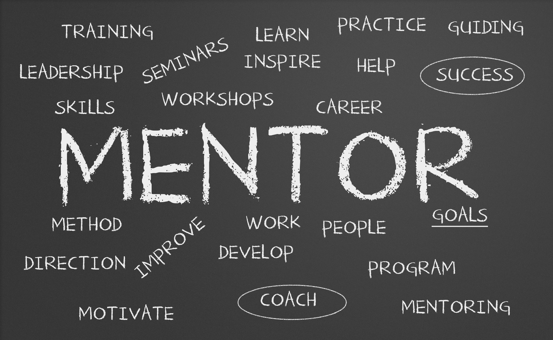 20 per cent of learning comes from being mentored by management. 
