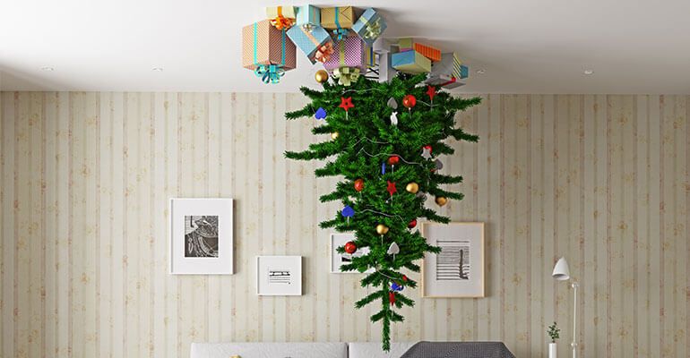 Katzensicherer Weihnachtsbaum an der Decke