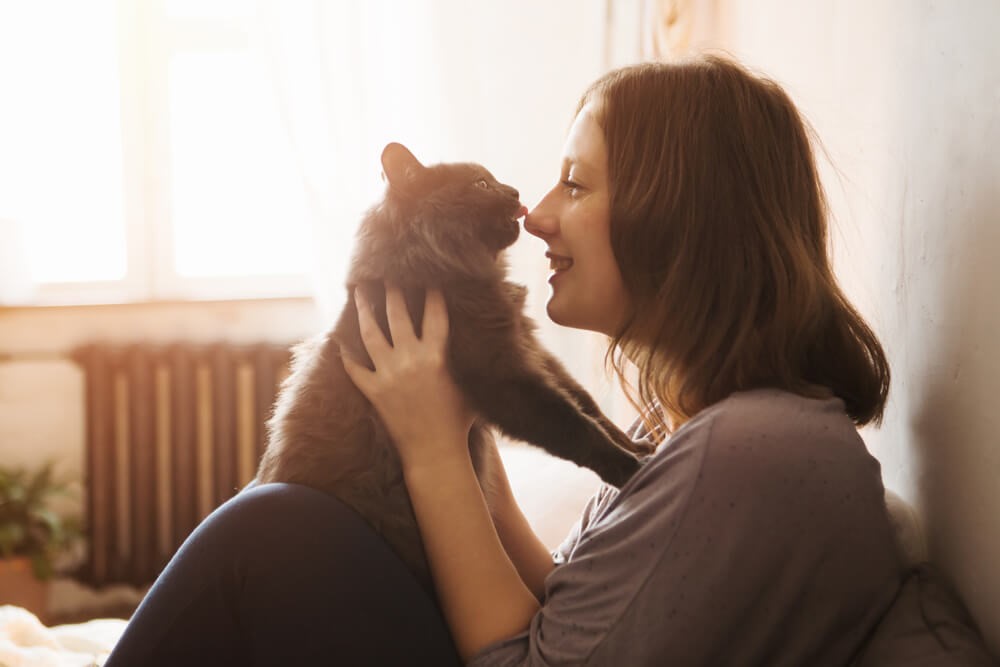 5 maneras de tranquilizar a un gato_2