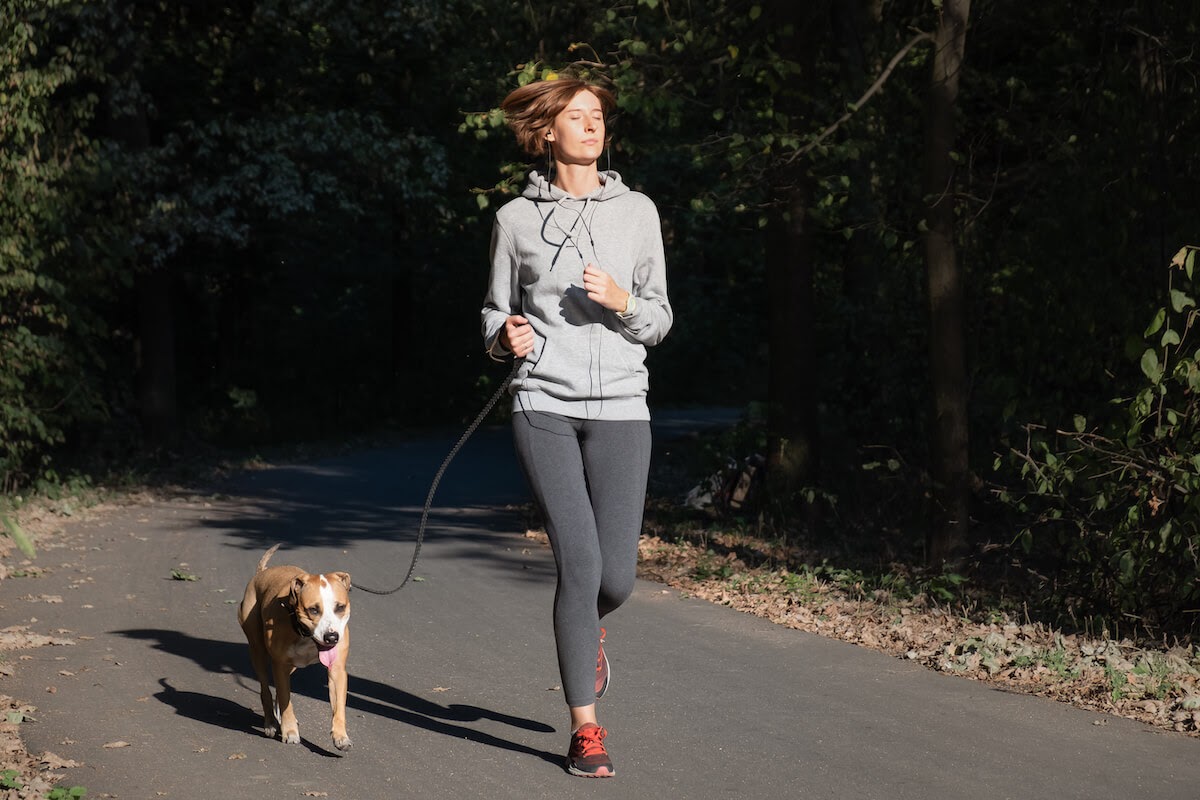 happy dog with woman jogging