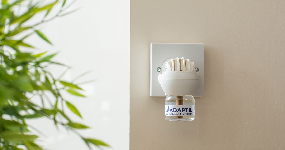 Adaptil Diffuser in home