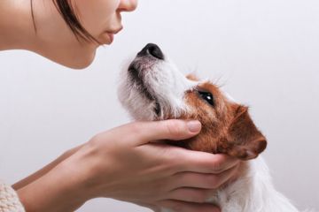 femme rassure son chien