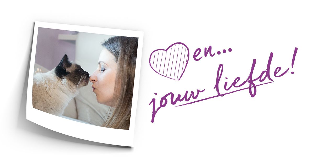 liefde