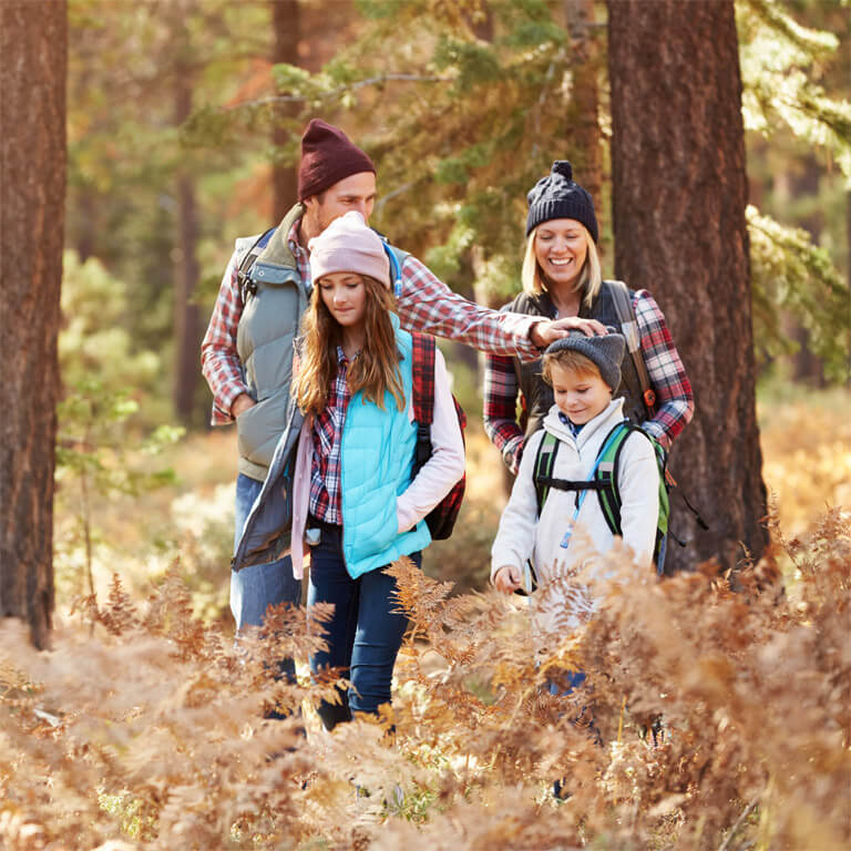 92% customer satisfaction rating for an insurance provider’s website