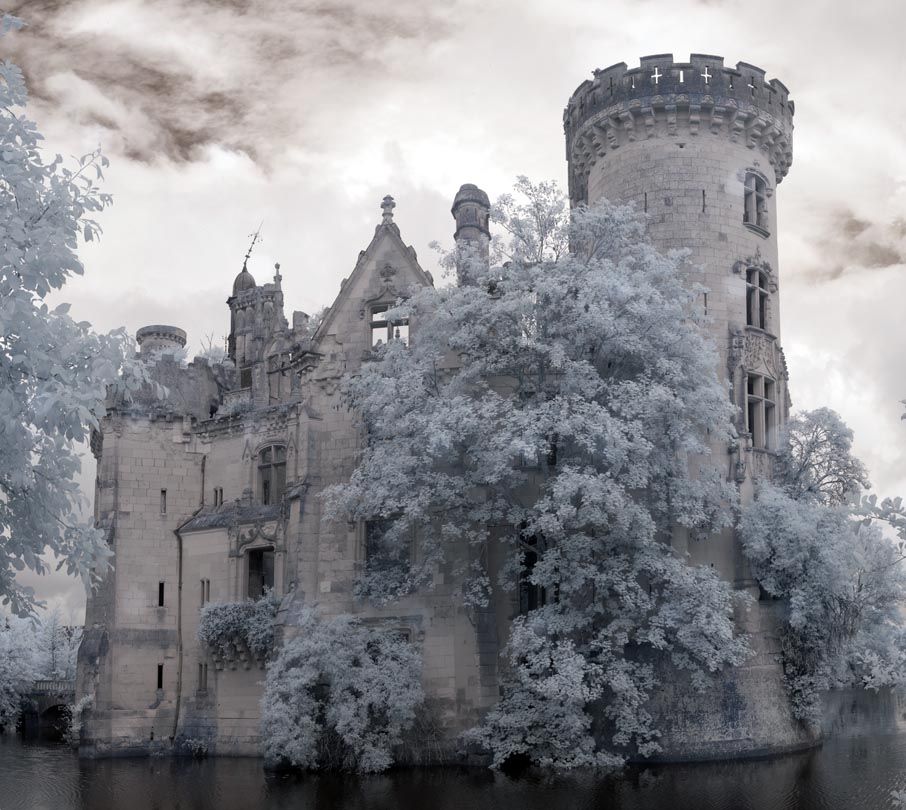 Castillo con árboles