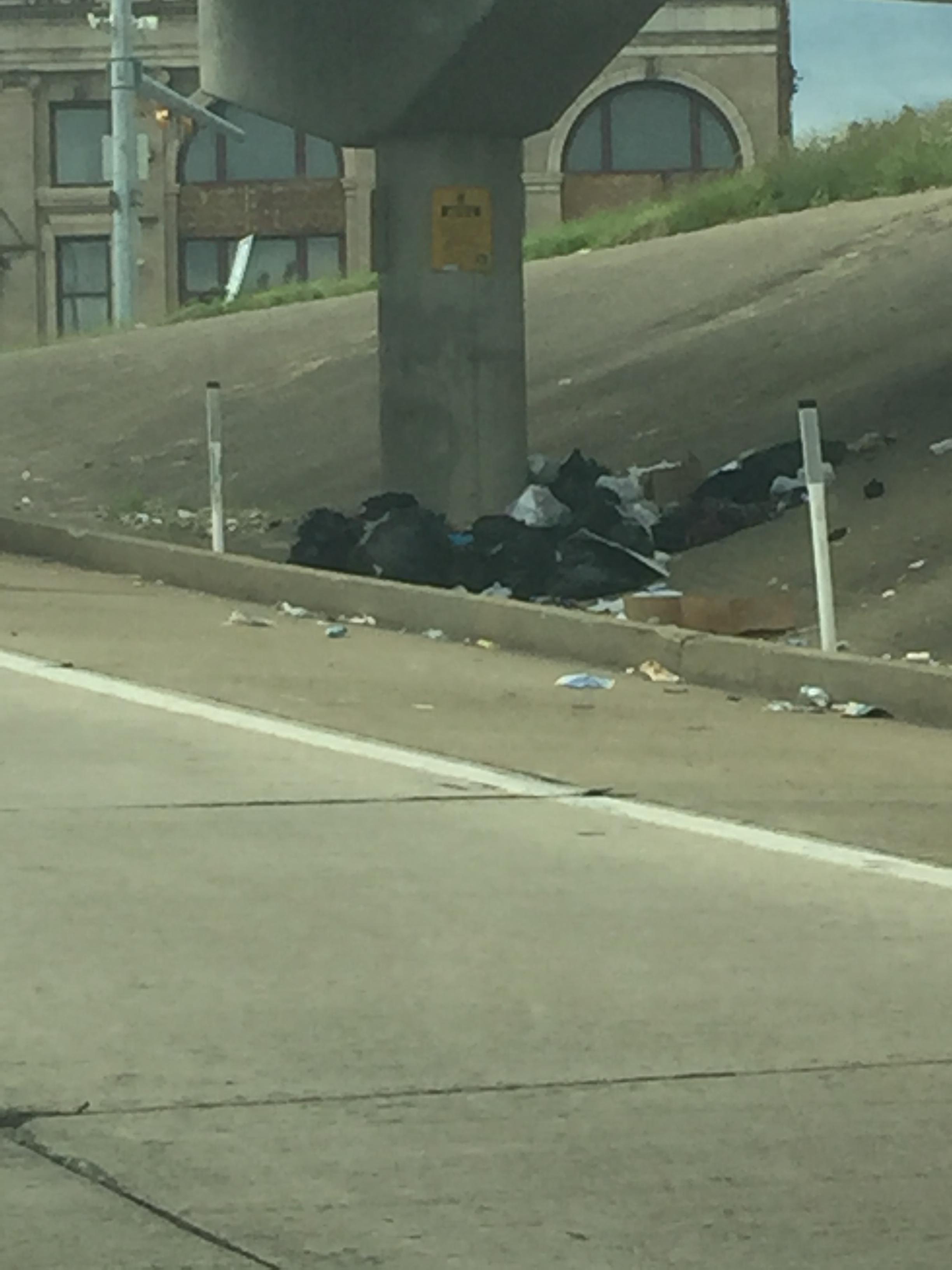 This is a photo of garbage bags and stray litter on the side of a Pittsburgh street.