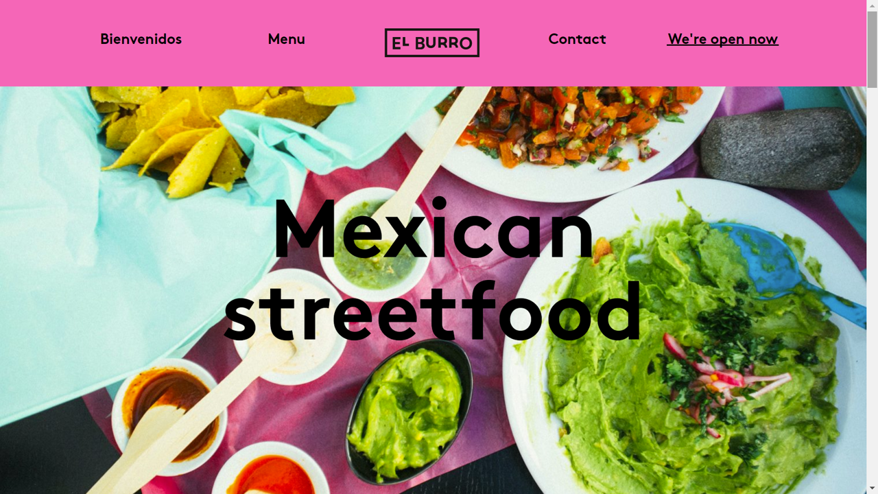 Picture of El Burro home page