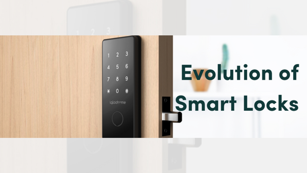 The Evolution of Locks