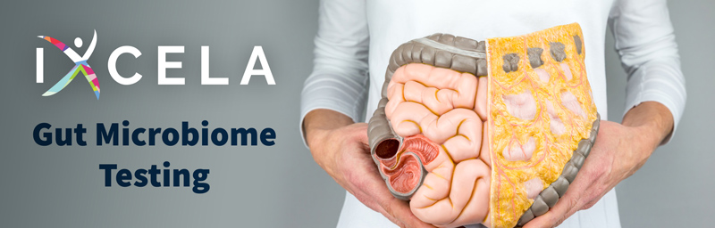 gut_health_wide_gut_testing_v02