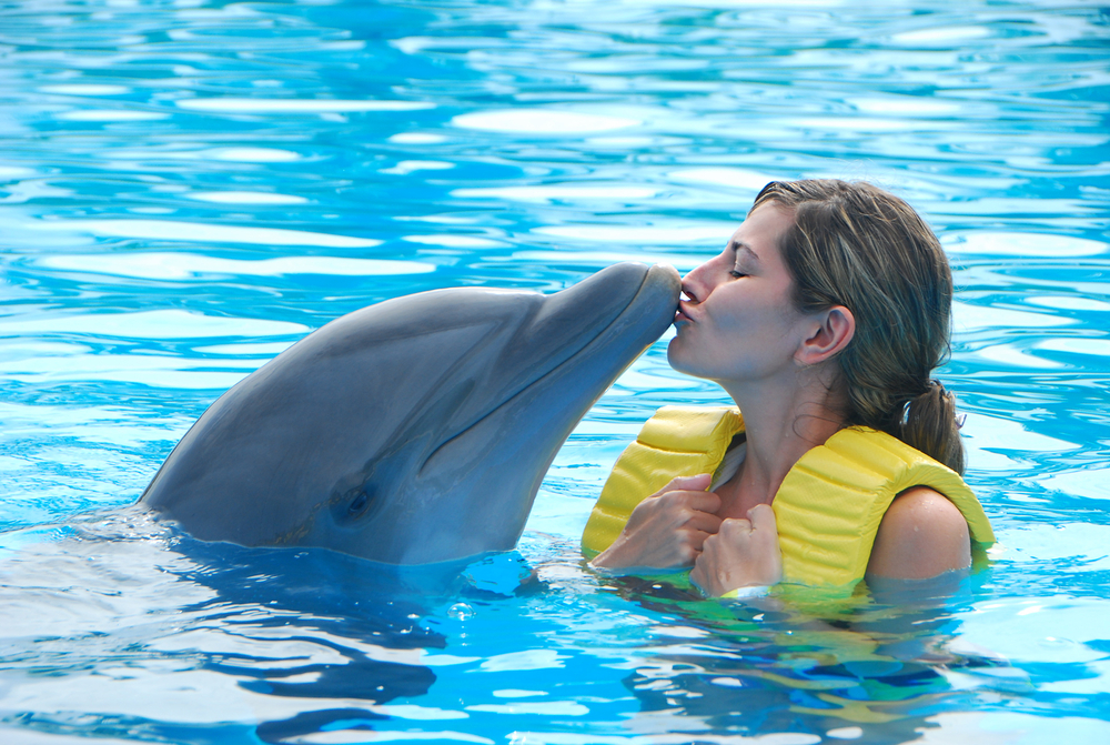 swimming-with-dolphins-bahamas