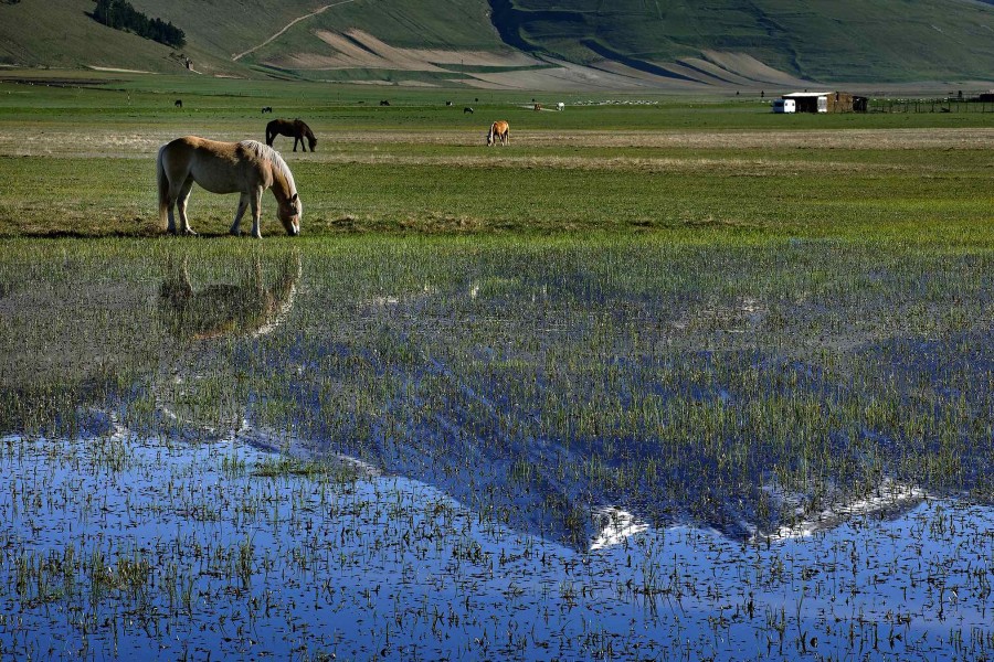 DHvillas-Castelluccio di Norcia4