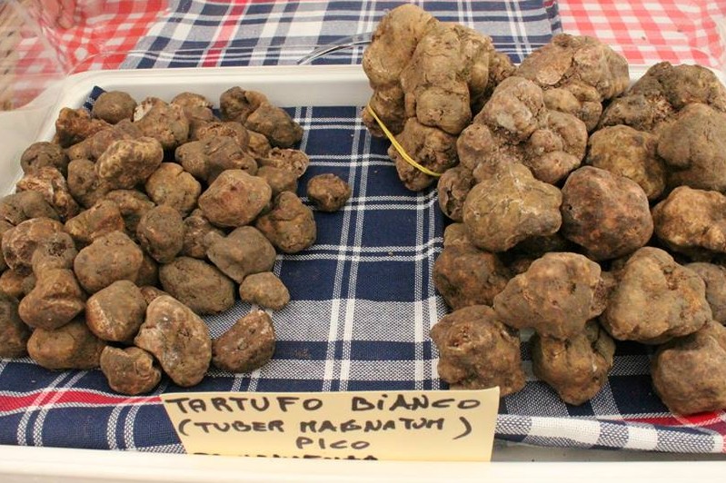 DHvillas-Fiera del Tartufo