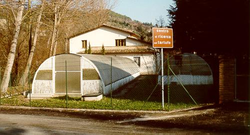 DHvillas-Il tartufo bianco