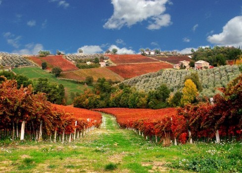 DHvillas-Montefalco10