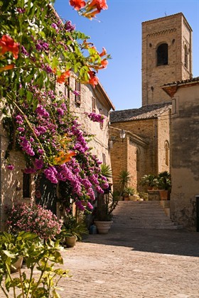 DHvillas-Torre di palme-4