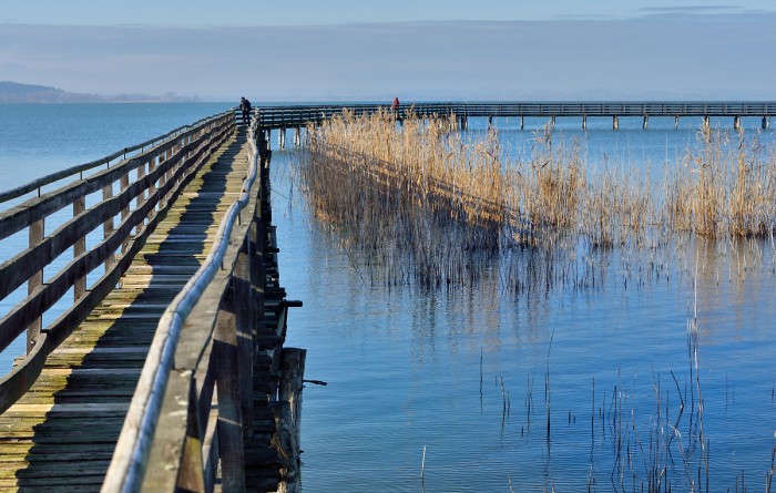 DHvillas-Trasimeno