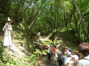Bosco dei Folletti - Urbania