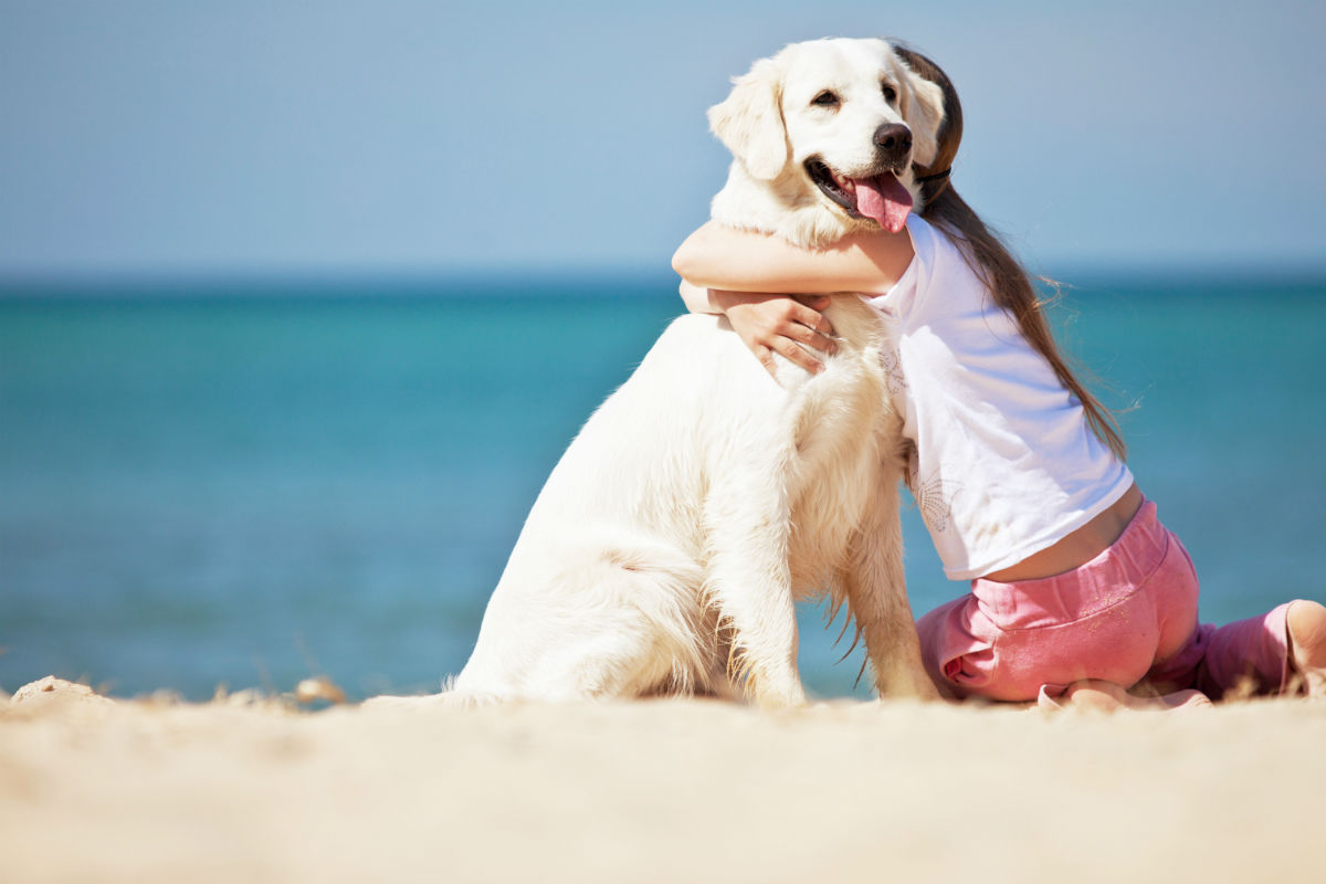 Spiagge-per-cani-in-Emilia-Romagna