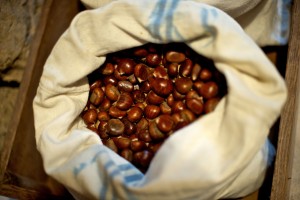 castagne