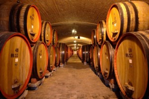 degustazione vino