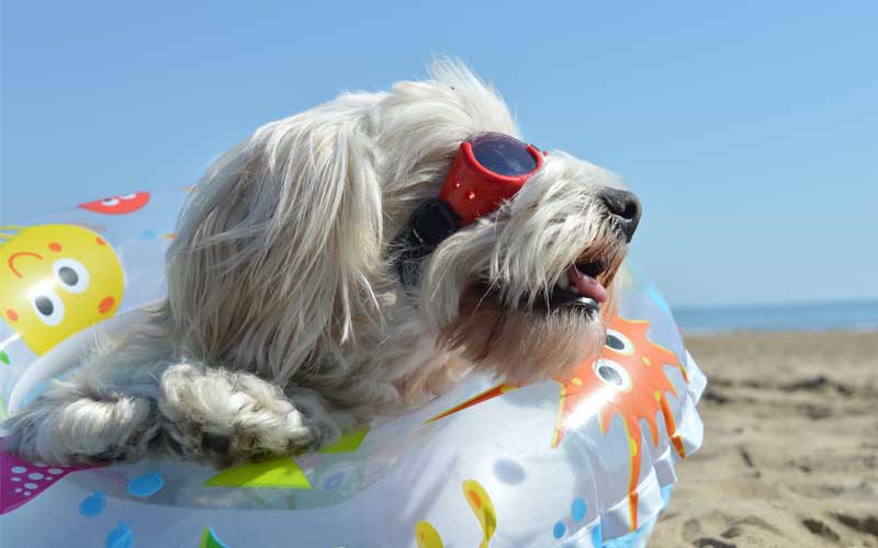 le-piu-belle-spiagge-delle-marche