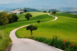Campagna - Dove andare in vacanza nelle Marche