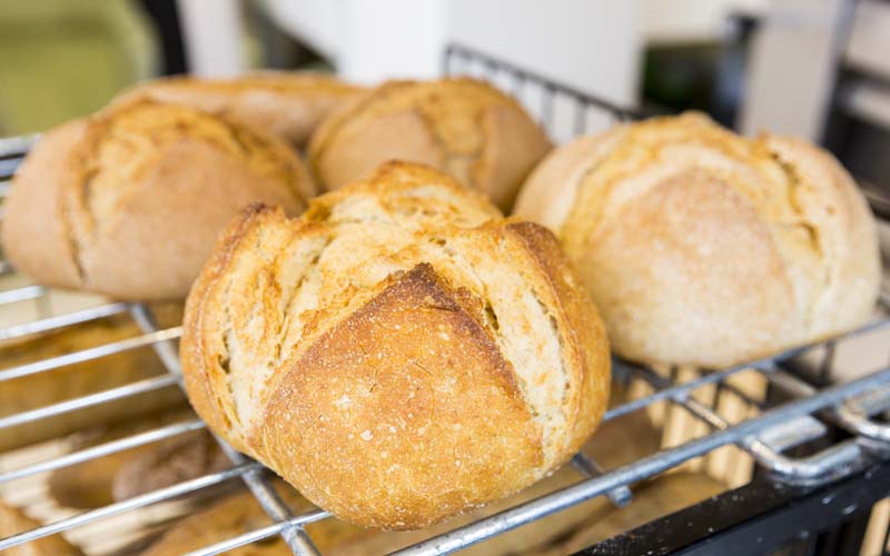 miglior destinazione per viaggiatori gluten-free