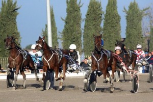 montegiorgio 