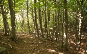 montescudo