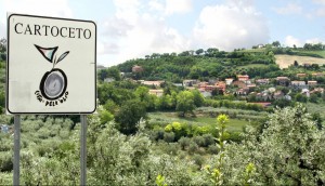 shopping marche - prodotti tipici delle marche