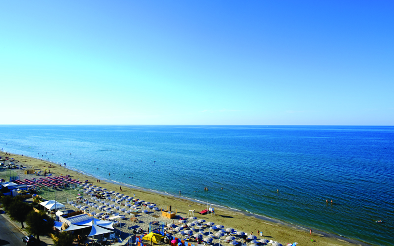 spiagge per cani