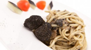 cibi umbria