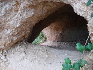 torre di palme