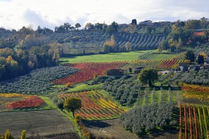 umbria