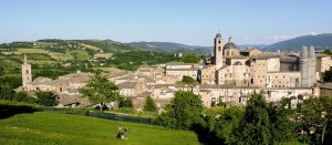 urbino