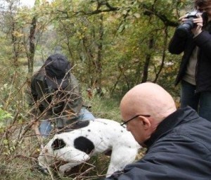 white truffle festival sant'angelo in vado