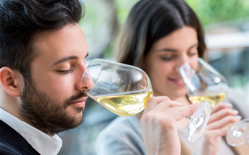 wine tasting tour italy
