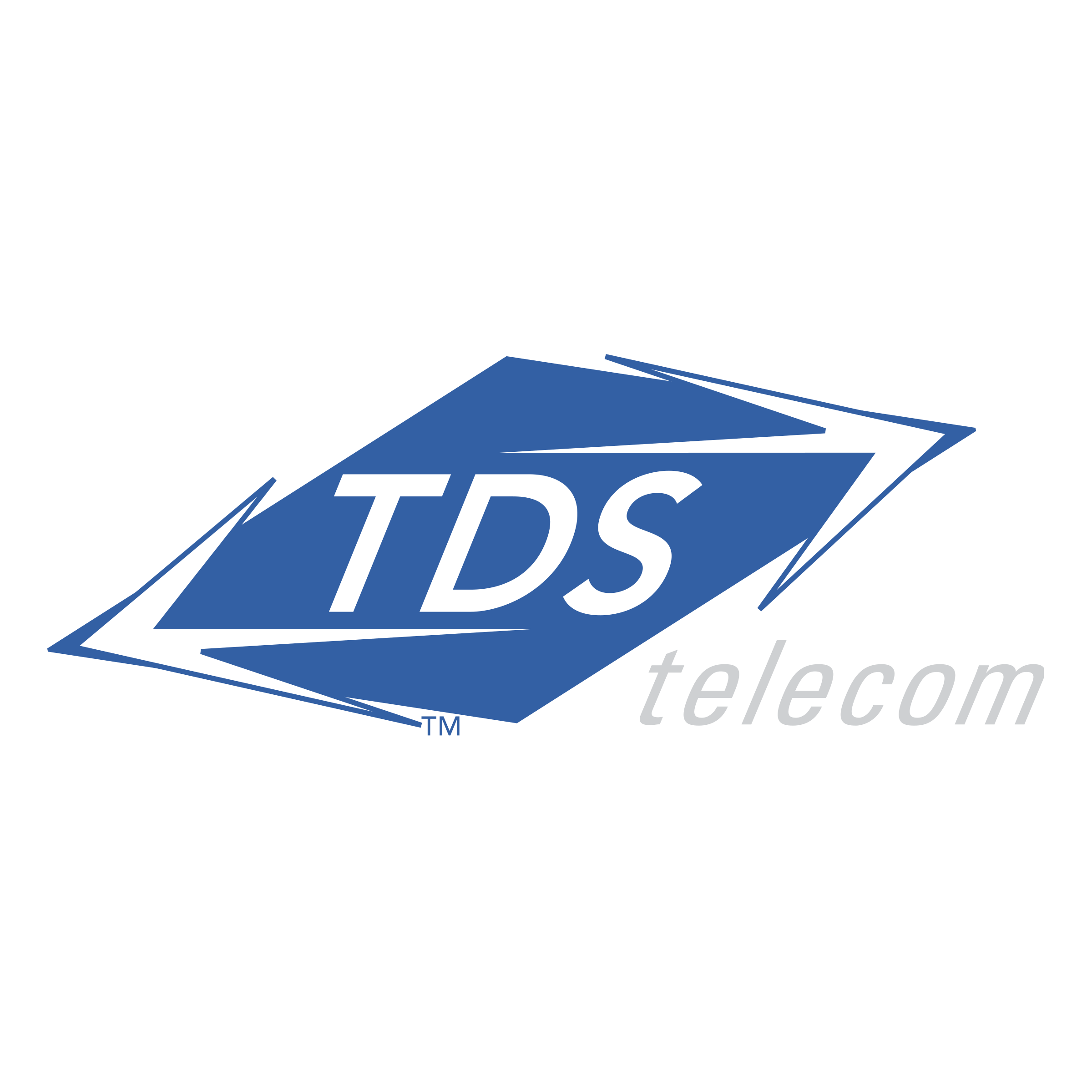 TDS_Logo